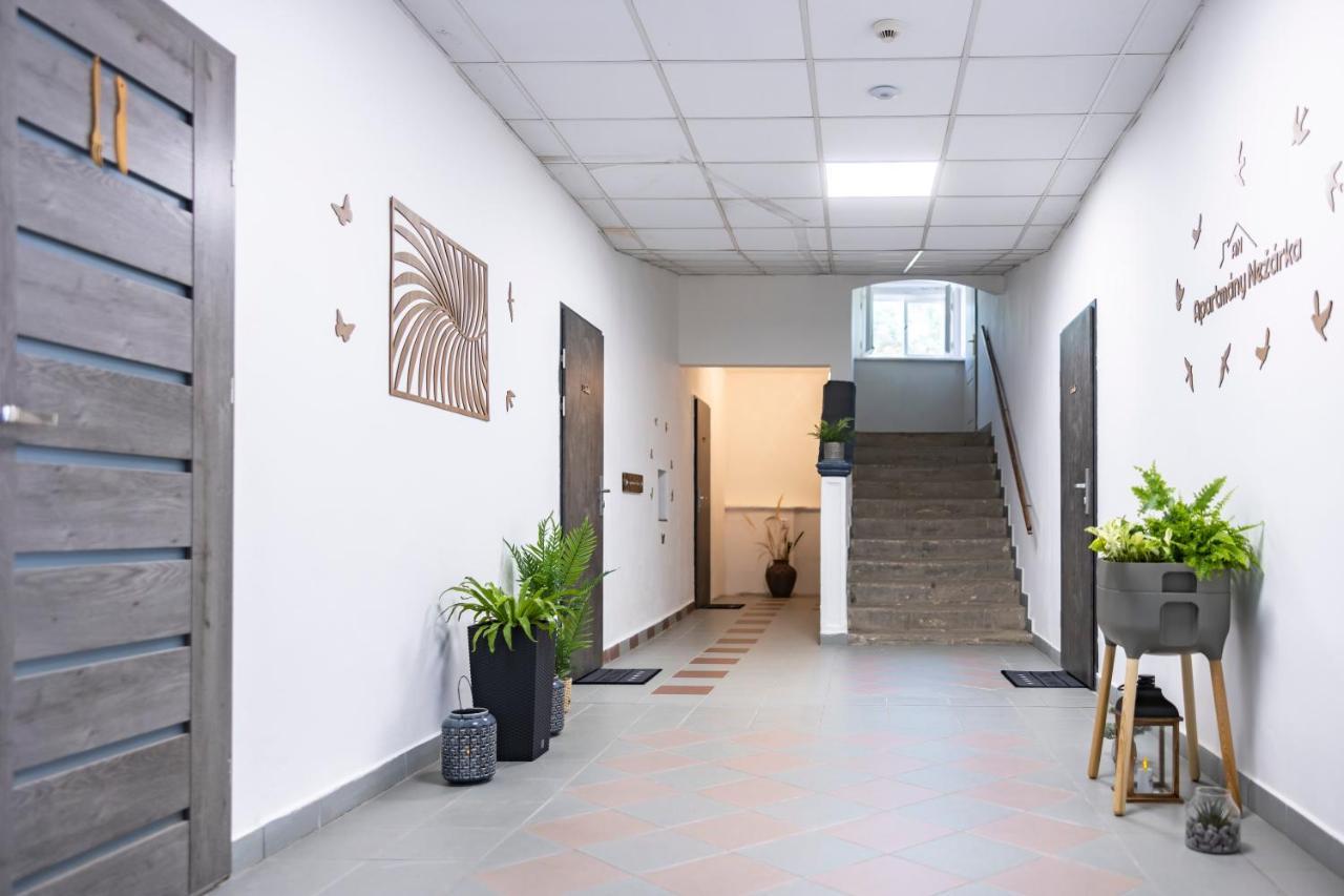 Apartmany Nezarka A Privatni Wellness Jindrichuv Hradec Bagian luar foto