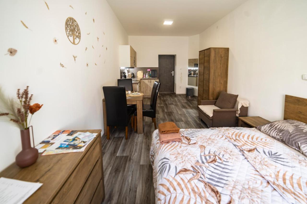 Apartmany Nezarka A Privatni Wellness Jindrichuv Hradec Bagian luar foto