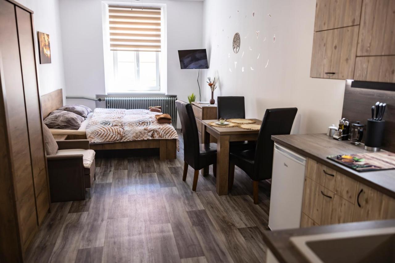 Apartmany Nezarka A Privatni Wellness Jindrichuv Hradec Bagian luar foto
