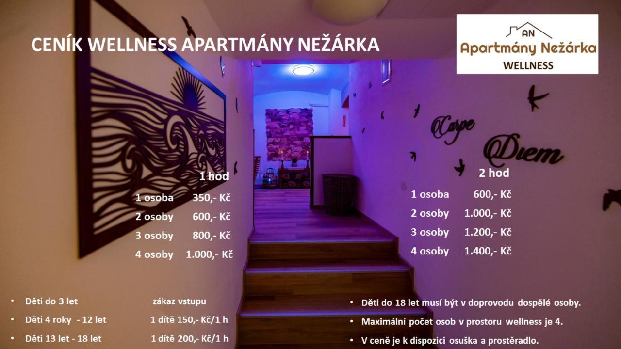Apartmany Nezarka A Privatni Wellness Jindrichuv Hradec Bagian luar foto